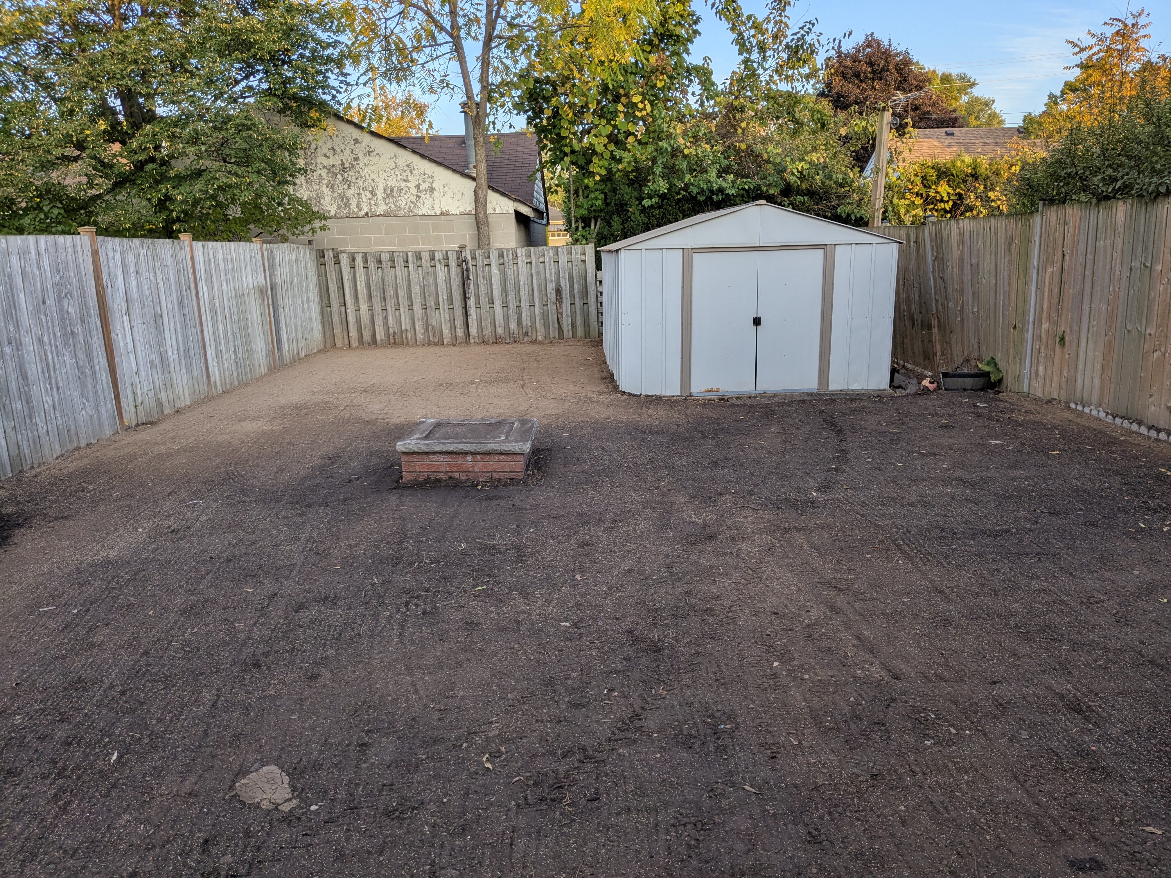 Same yard after professional cleanup