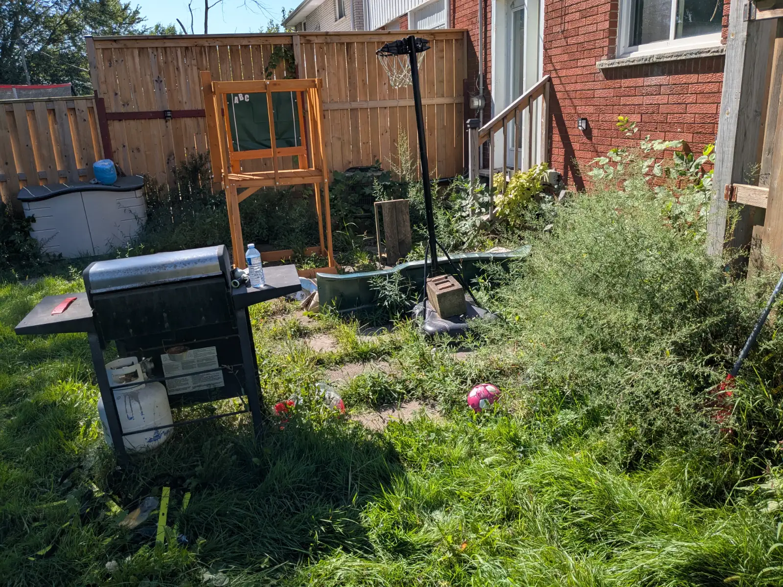 Neglected property with tall grass before cleanup
